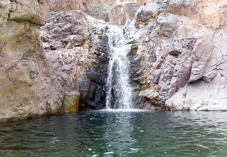 محافظة وادي الفرع بالمدينة المنورة تتوشح باللون الأخضر جريدة الفراعنة